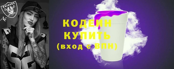 2c-b Ельня