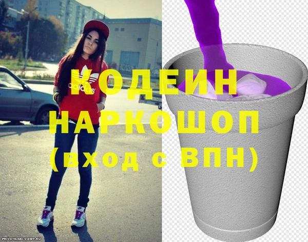 2c-b Ельня