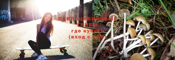 МДПВ Щигры